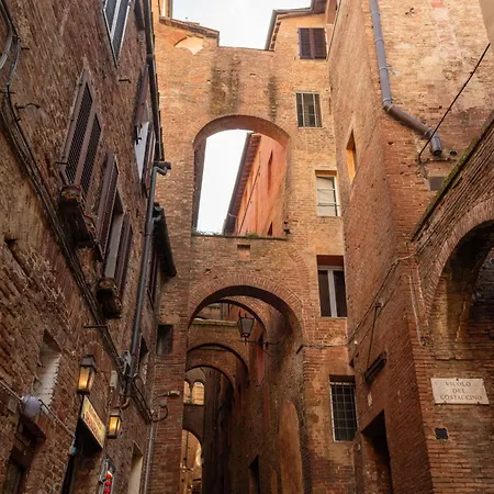 The Rose Siena