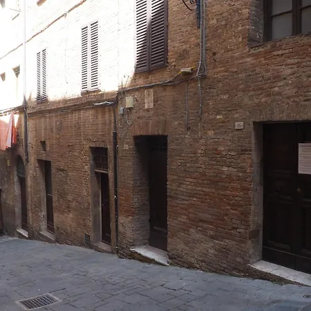 The Rose * Siena