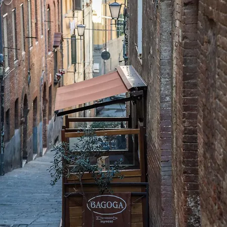 The Rose Apartman Siena