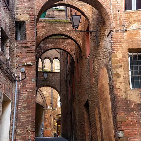 The Rose Siena